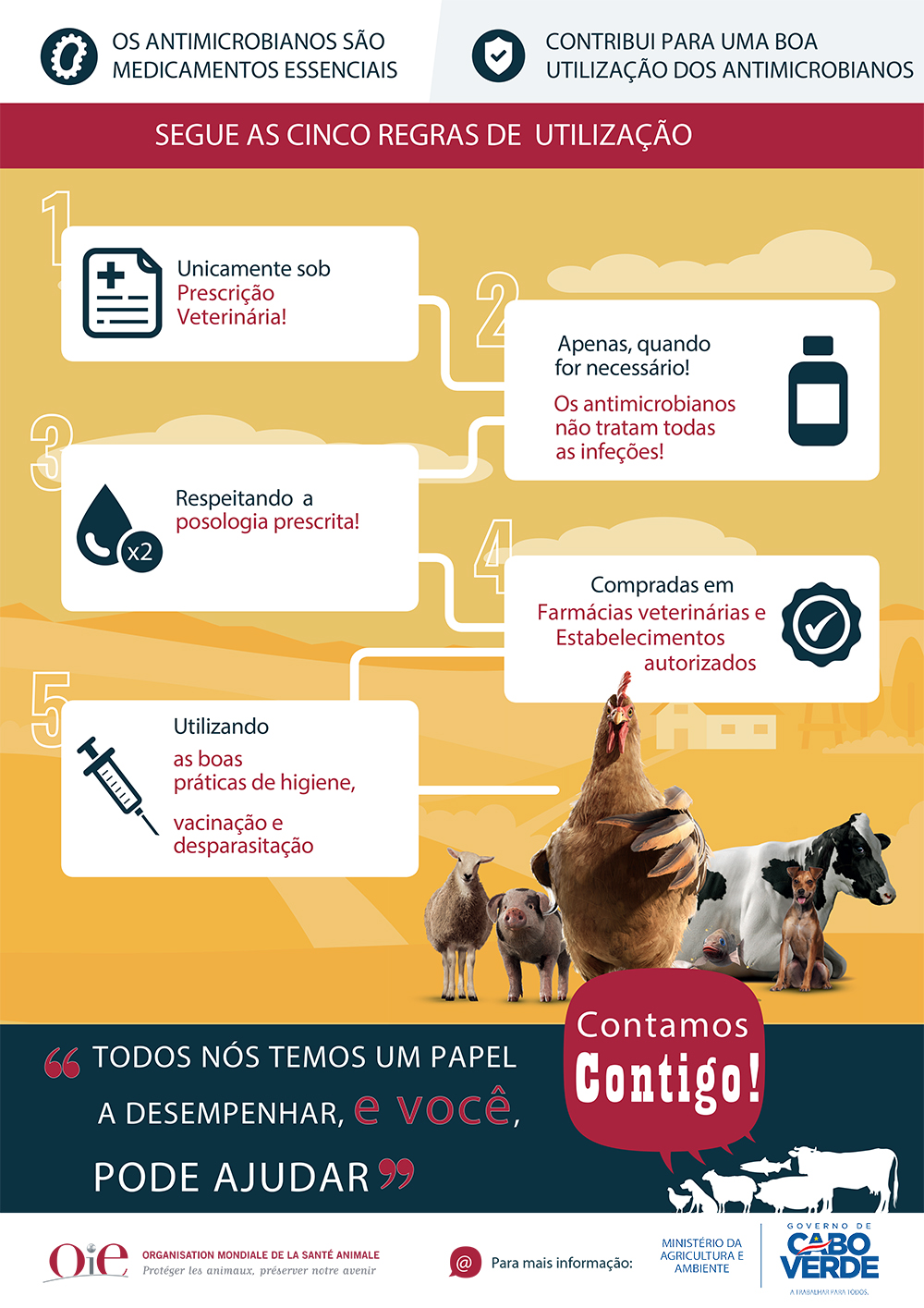 ANTIMICROBIANOS - AS CINCO REGRAS DE UTILIZAÇÃO